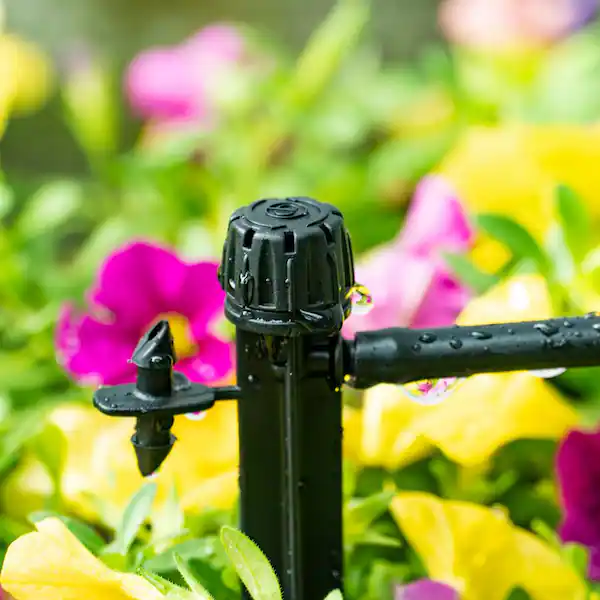 Providence Las Vegas Drip Irrigation Tuneup